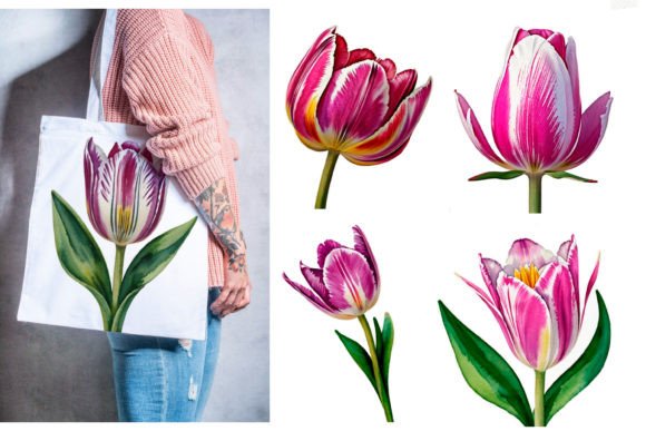 9 Tulip Watercolor Flower Illustration: A Designer's Secret Weapon for Branding and Beyond