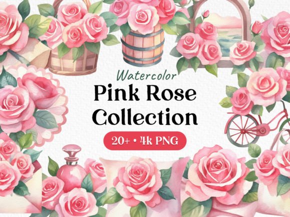 Bundle Watercolor Rose Clipart PNG