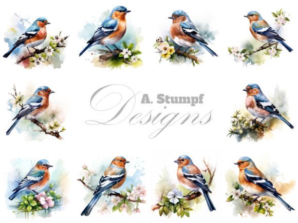 Chaffinch Clipart Watercolor Bird Bundle for Creative Projects