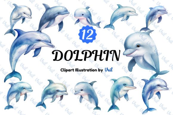 Dolphin Clipart Watercolor Bundle