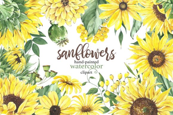 Sunflowers Watercolor Elements Clipart