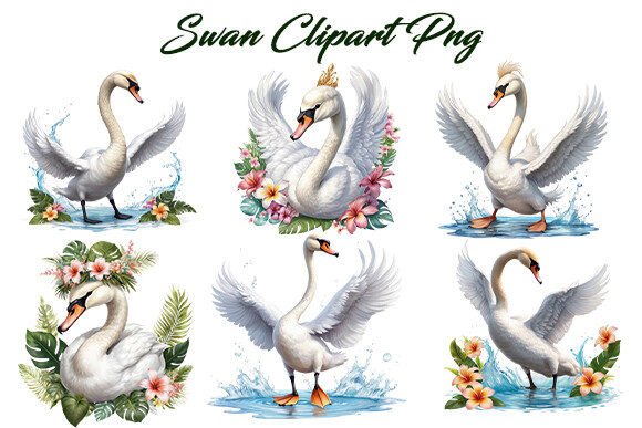 Swan Watercolor Clipart Bundle: Elegant Art for Designers & Creatives