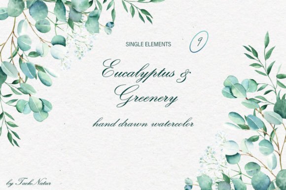 The Natural Appeal of Eucalyptus Greenery Watercolor Clipart
