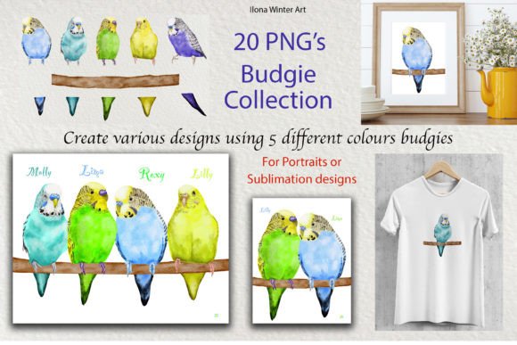 Watercolor Budgie Clipart Collection Set
