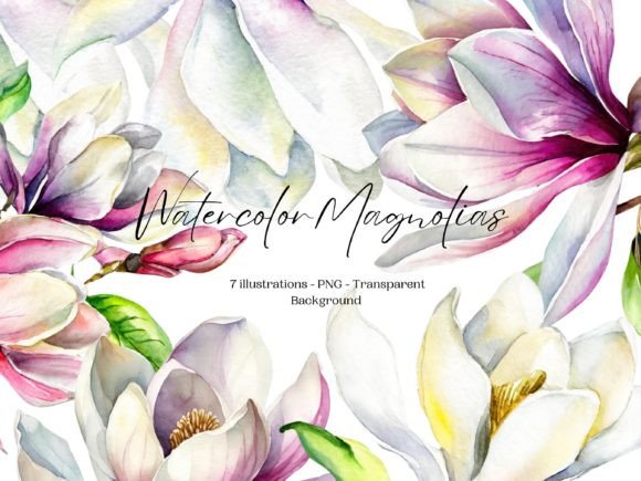 Watercolor Magnolias Elegant PNG Clipart