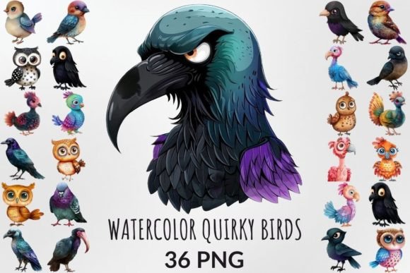 Watercolor Quirky Birds Sublimation Pack