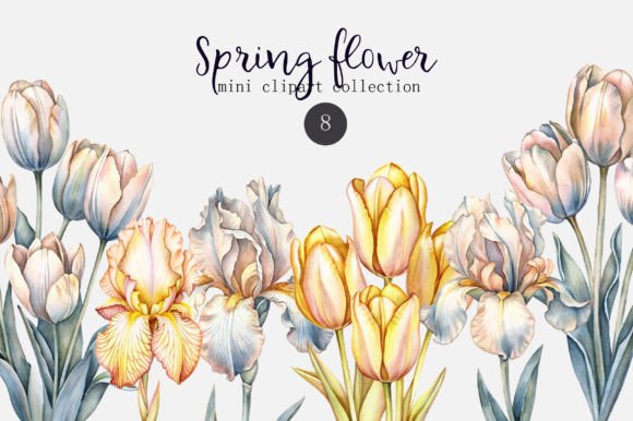 Watercolor Spring Flower Set: A Designer's Guide